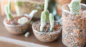 真砂土敷き詰02