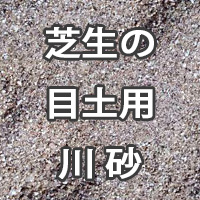 芝生の目土用 川砂